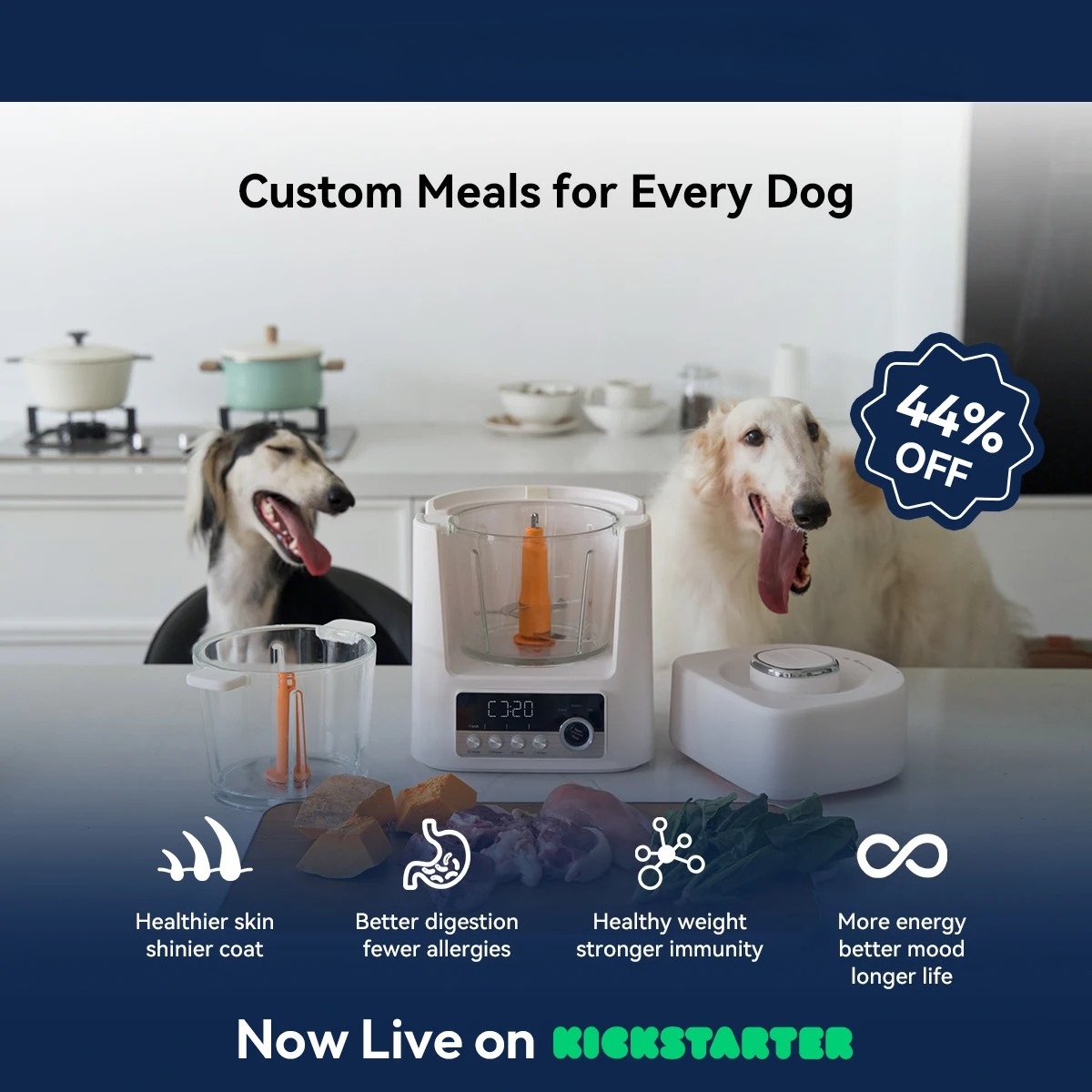 Automatic Pet Food Maker - Sma - Meal Prep Simple 评论和价格